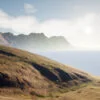 Auto Landscape Material - Image 4