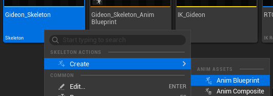 Assign animation Blueprint