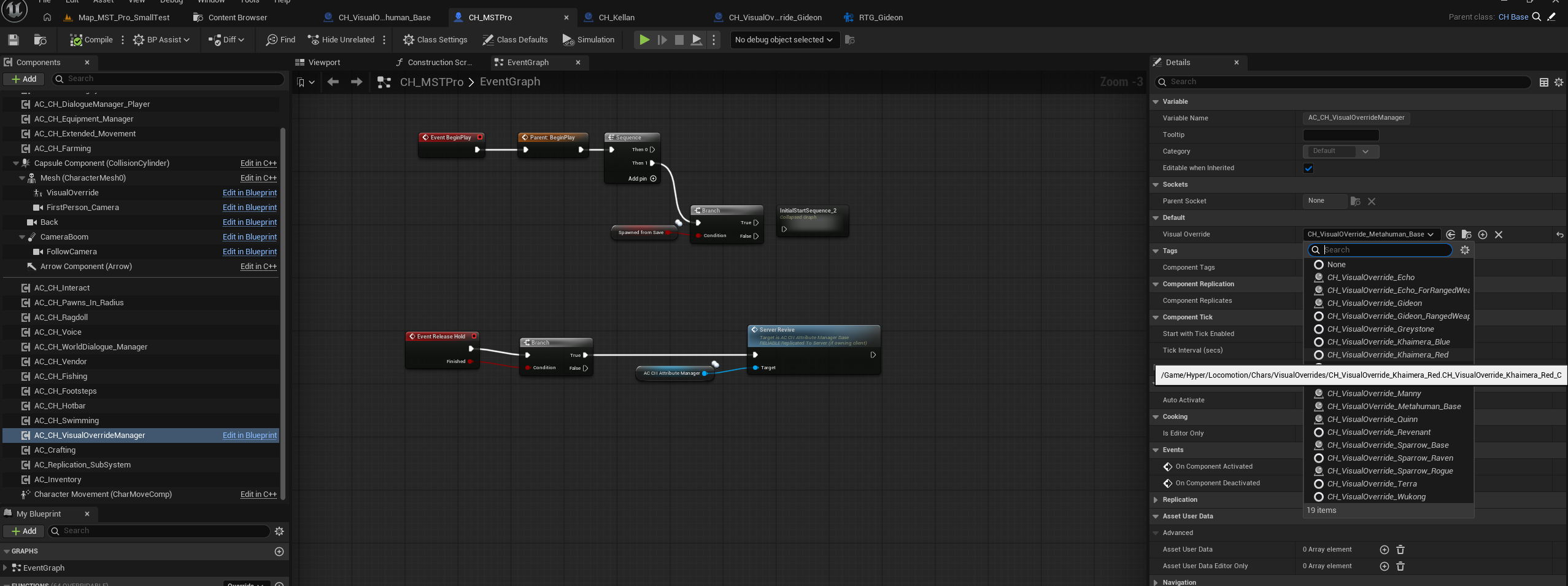 Assign the visual override on the character